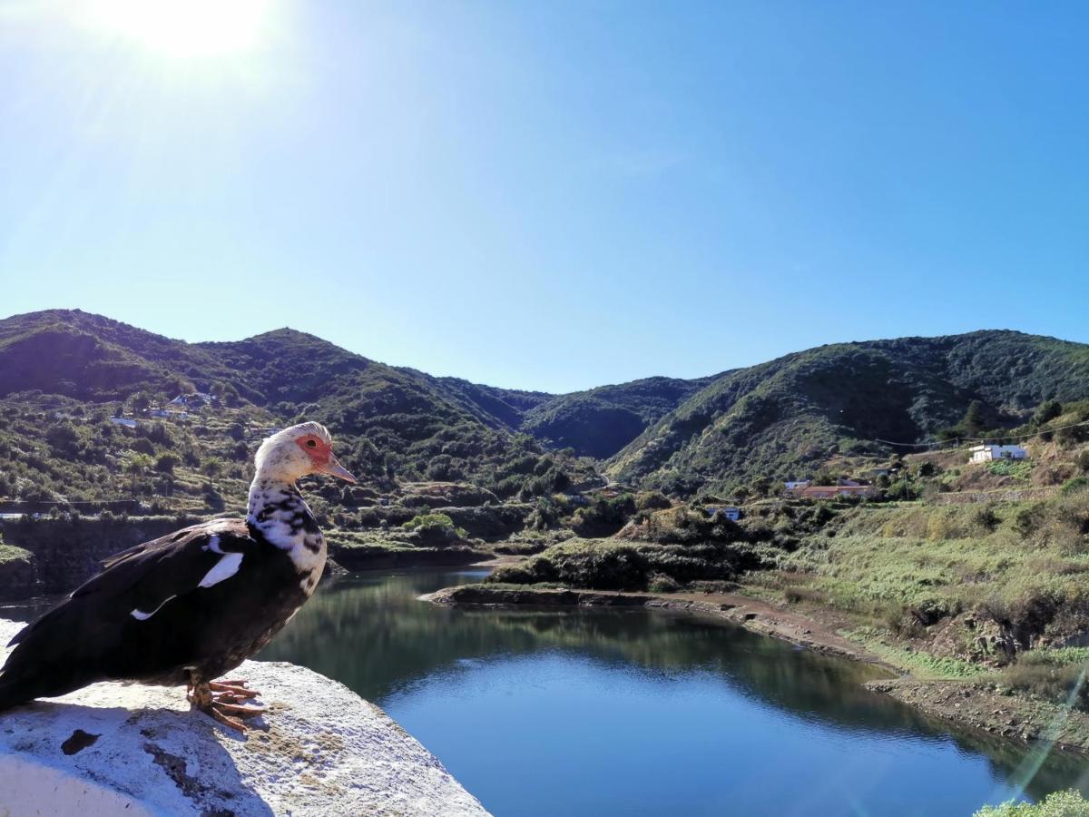 Casa Rural Leo: Remanso De Paz Y Tranquilidad Agulo Exteriör bild